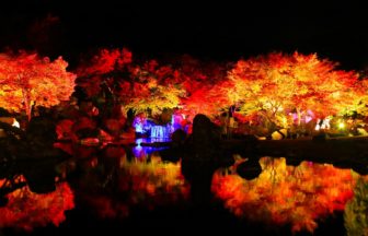 溪石園（秋のライトアップ）