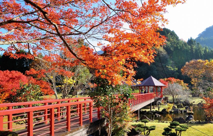 耶馬溪ダム記念公園 溪石園 中津耶馬渓観光協会